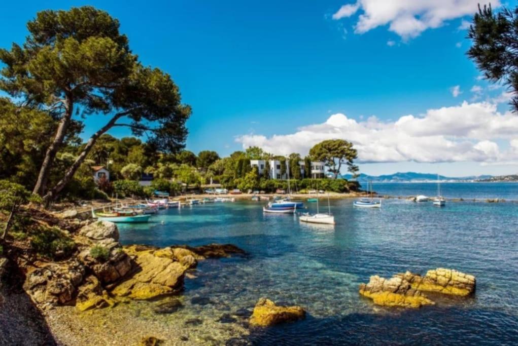 Charmant Studio Renove A Antibes, Plage A 10 Min A Pied Exteriör bild