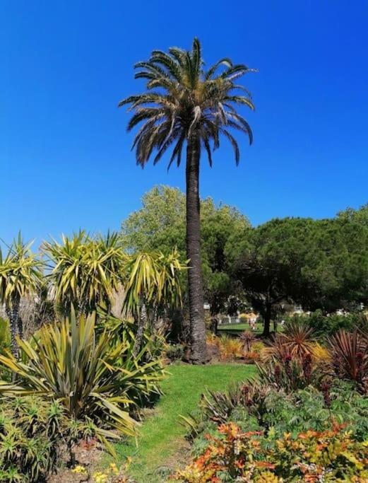 Charmant Studio Renove A Antibes, Plage A 10 Min A Pied Exteriör bild